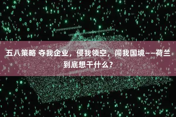 五八策略 夺我企业，侵我领空，闯我国境——荷兰到底想干什么？