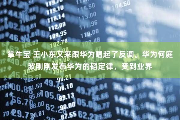 掌牛宝 王小东又来跟华为唱起了反调。华为何庭波刚刚发布华为的韬定律，受到业界